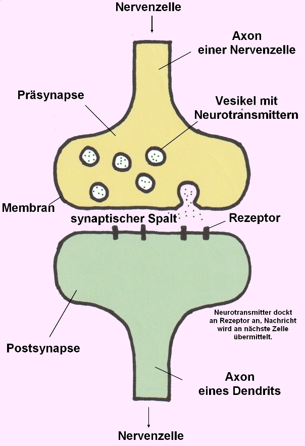 Vesikel
