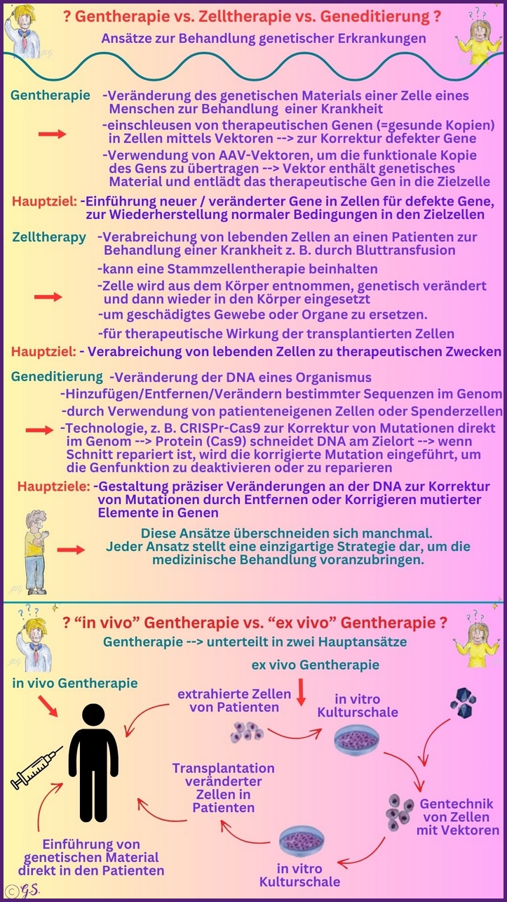 Gentherapie, Genbearbeitung und Zelltherapie