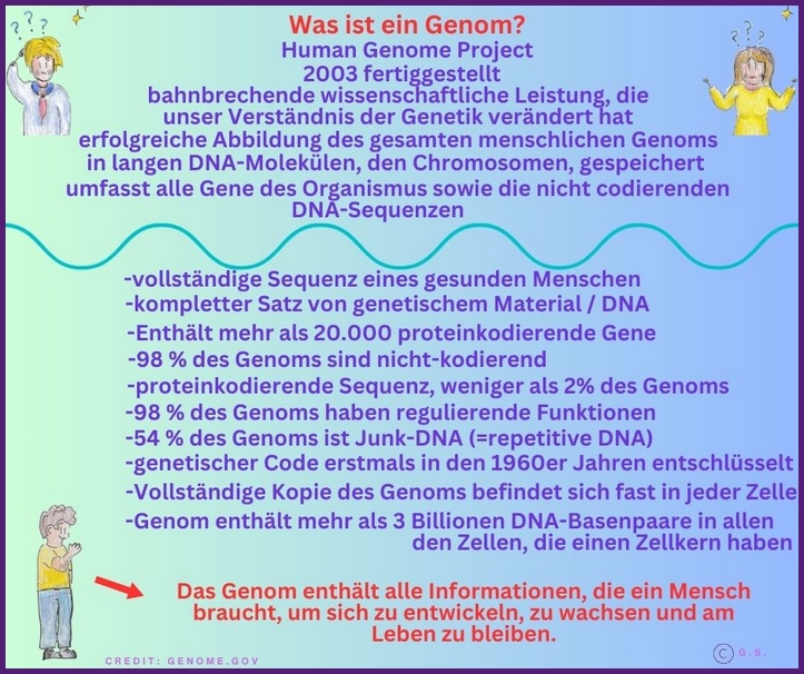Was ist ein Genom?