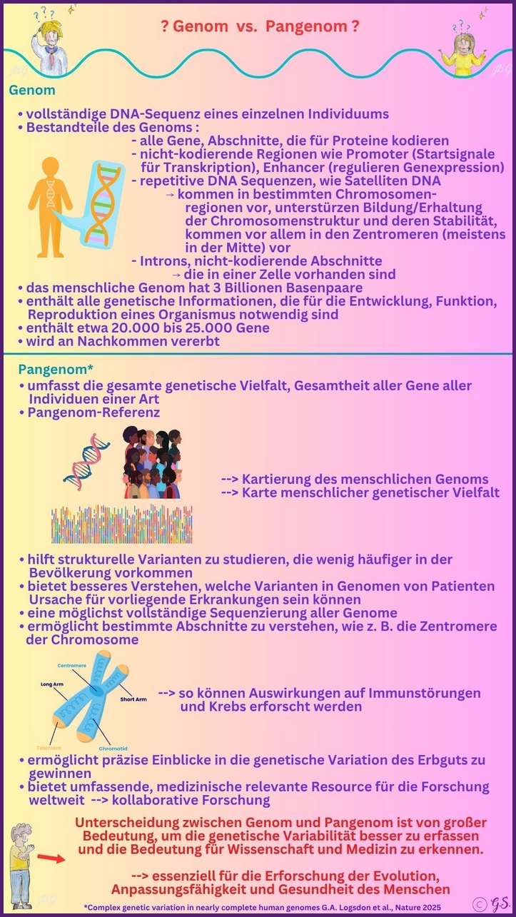 Genom vs. Pangenom