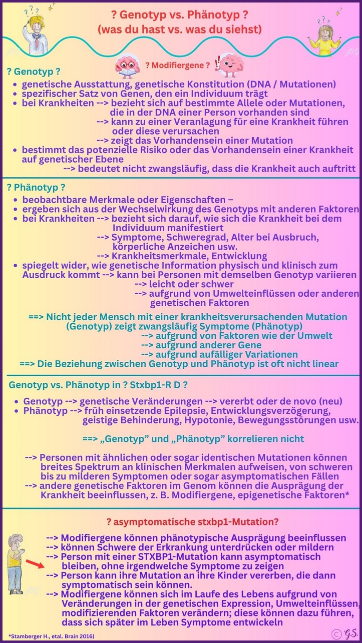 Genotyp vs. Phänotyp