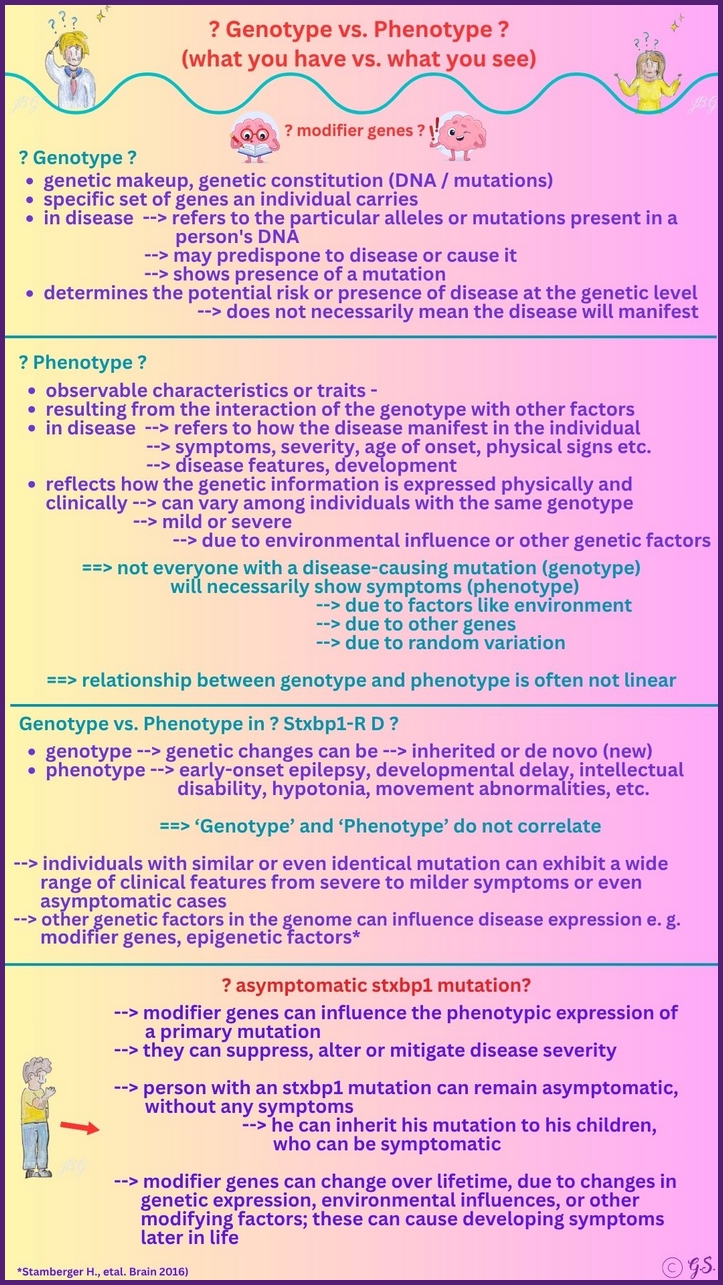 Genotyp vs. Phänotyp