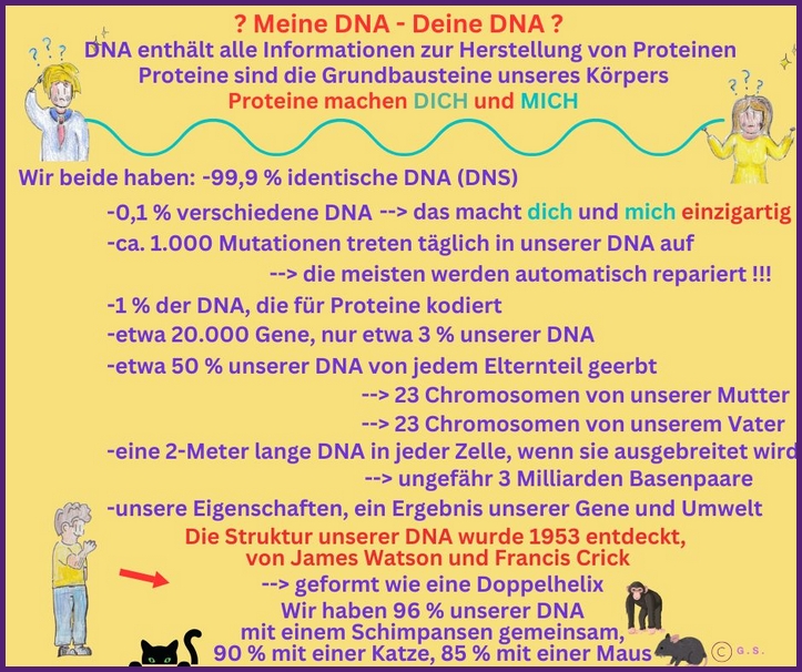 Meine, deine DNA