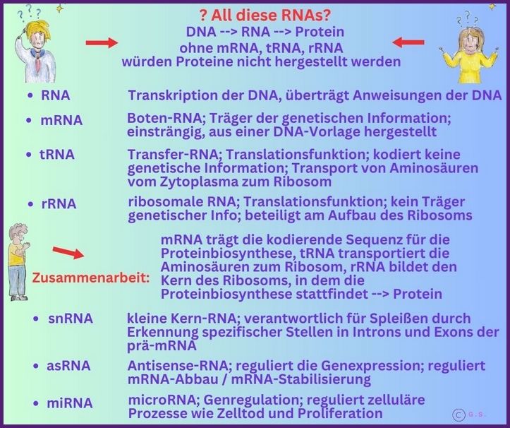 All diese RNAs