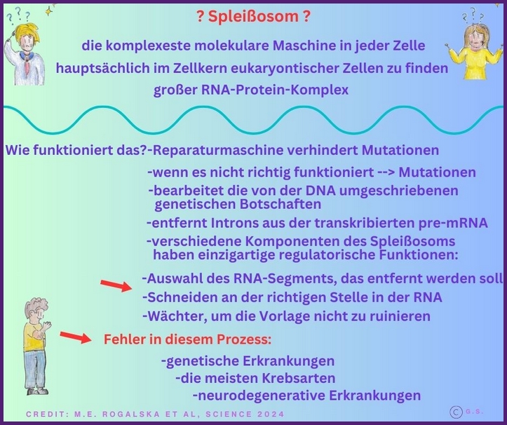 Was ist ein Spleißosome?